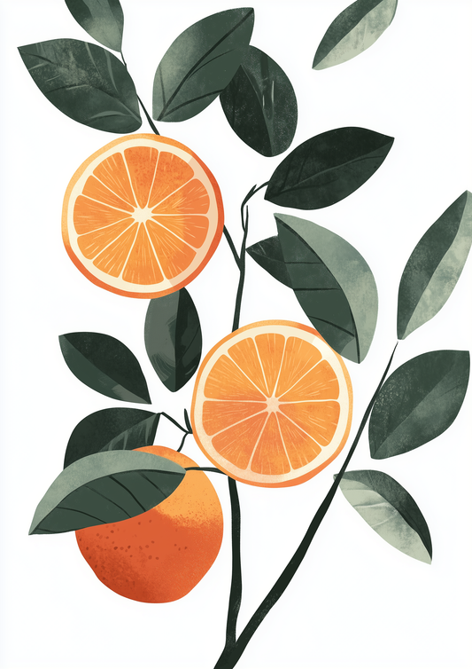 Fruit - Grapefruit - A2 Print