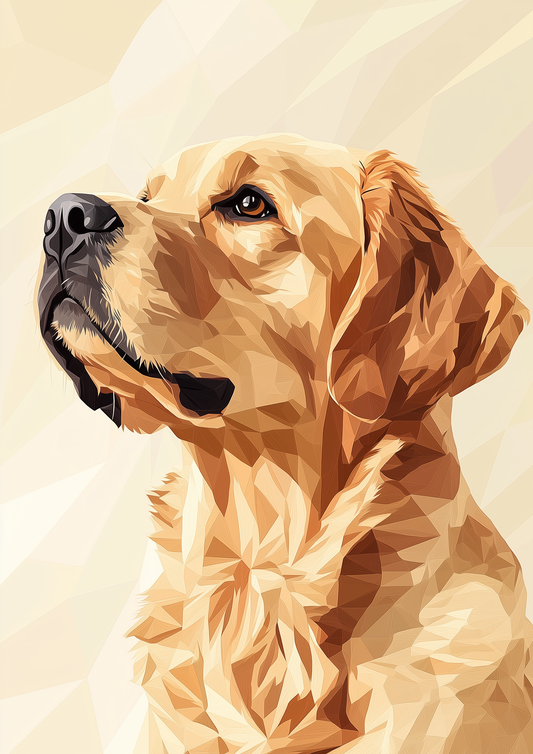 Dogs - Detailed - Golden Retriever - A2 Print