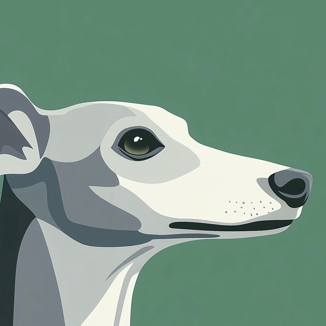 Dogs - Minimalism - Whippet - A2 Print