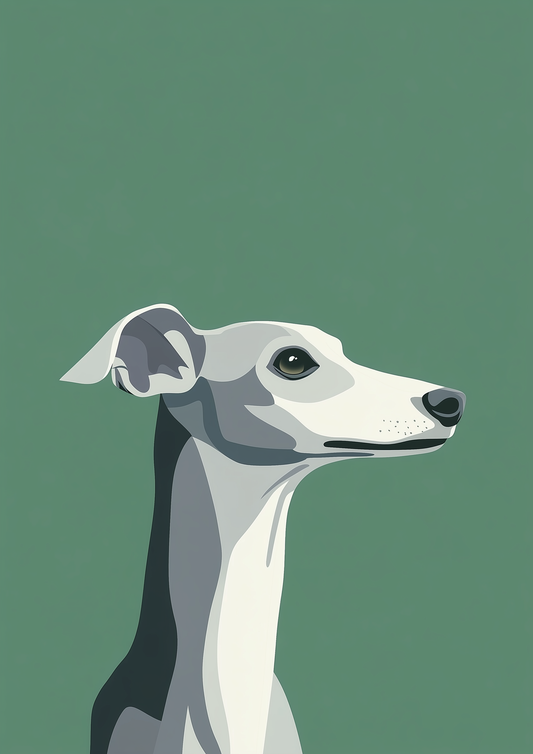 Dogs - Minimalism - Whippet - A2 Print