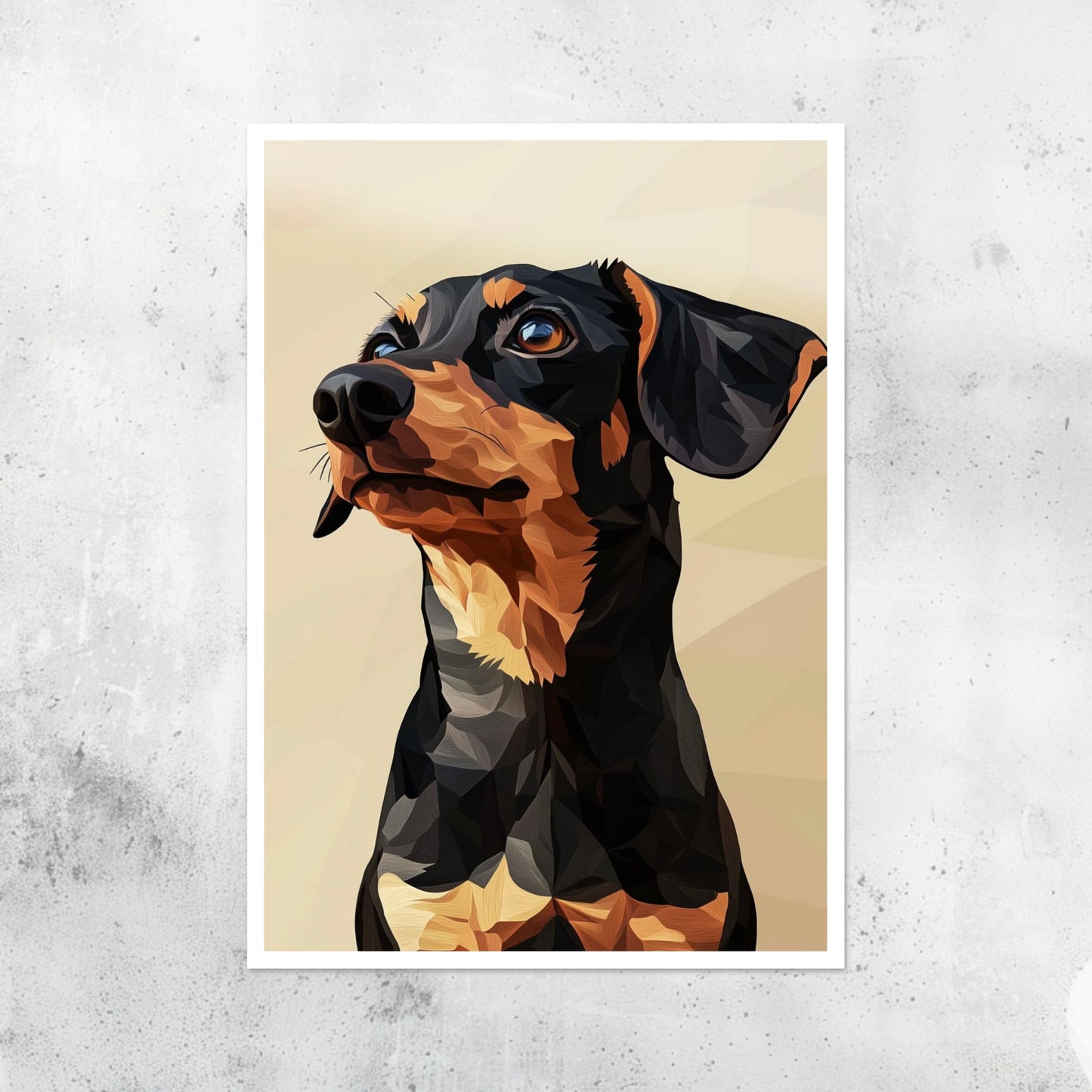 Dogs - Detailed - Dachshund - A2 Print
