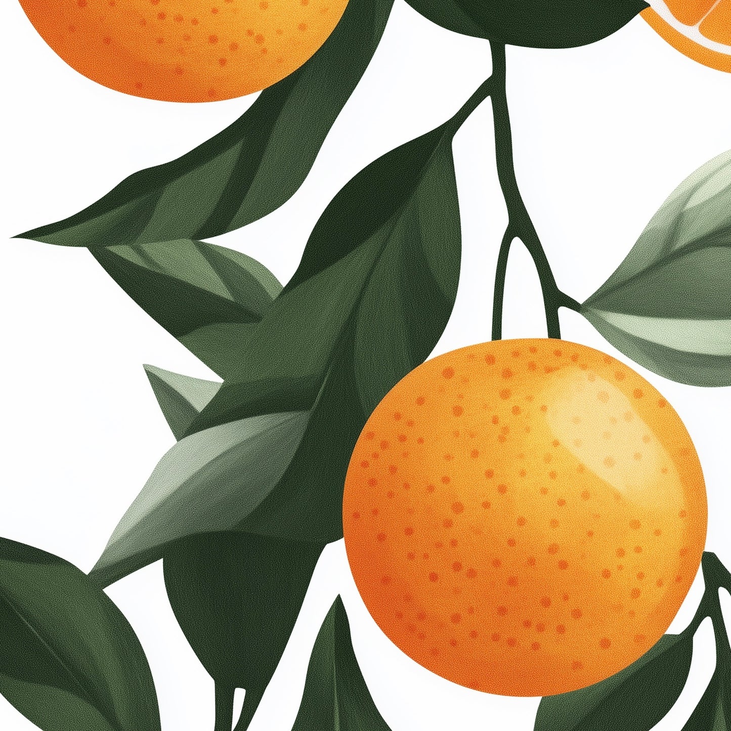 Fruit - Orange - A2 Print