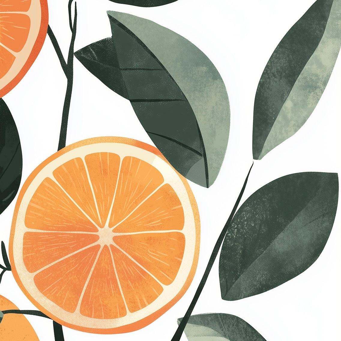 Fruit - Grapefruit - A2 Print