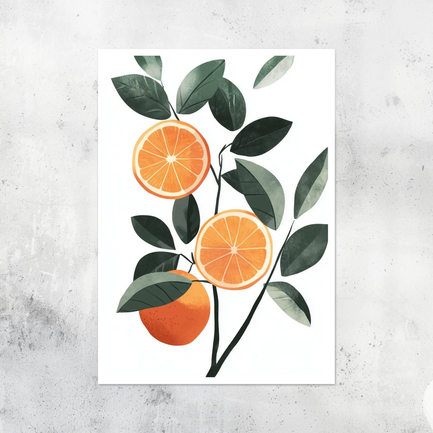 Fruit - Grapefruit - A2 Print