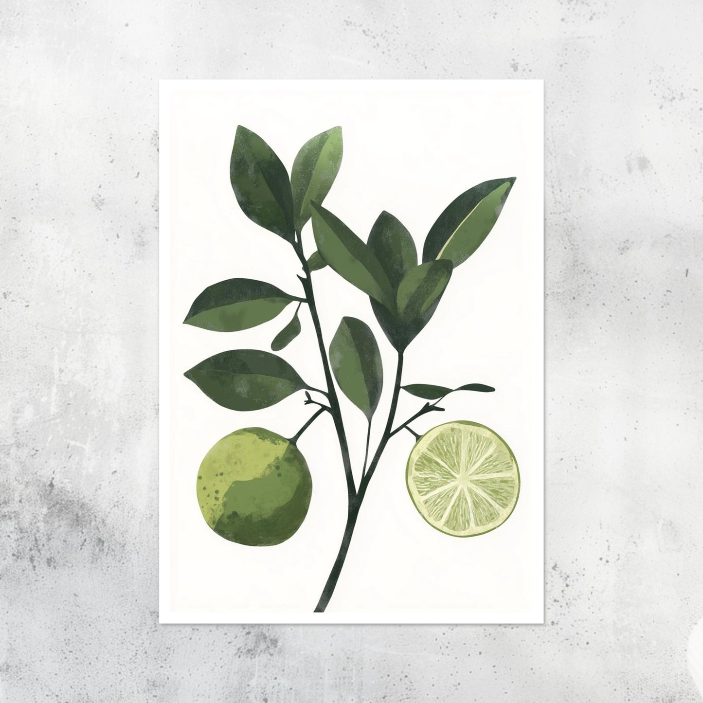 Fruit - Lime - A2 Print