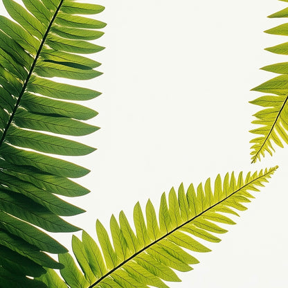 Close-up detail of A2 wall art print showcasing minimalist fern hyper realistic illustration.