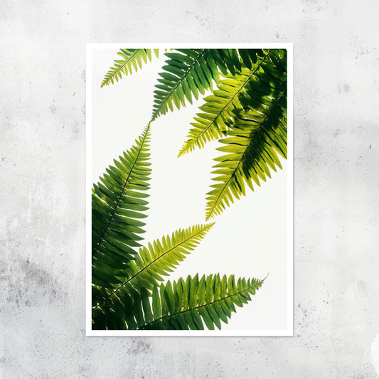 Unframed A2 wall art print showcasing minimalist fern hyper realistic illustration.
